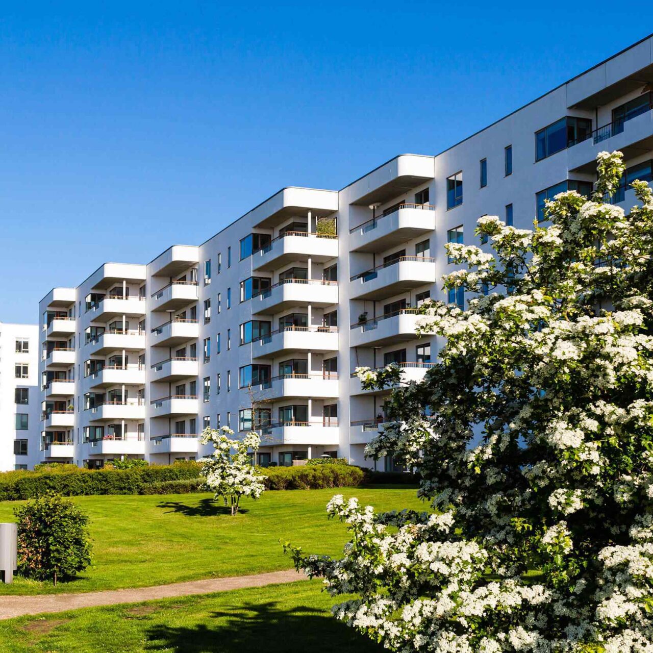 Westend Greenage Project